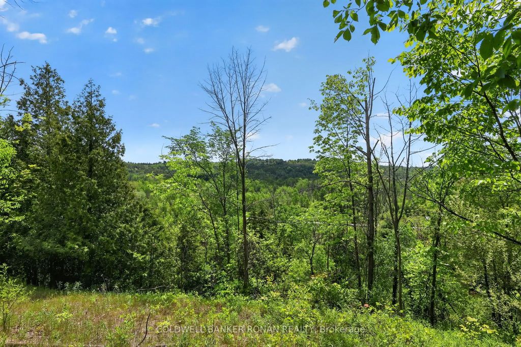 2946 Concession Rd 3 N/a, Adjala-Tosorontio