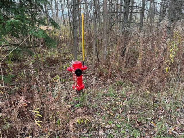 Taylorwoods Boulevard, Innisfil