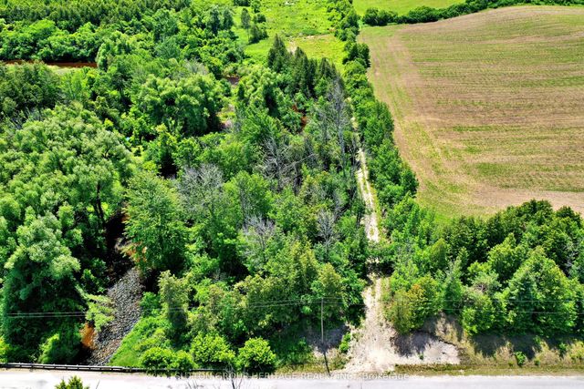 Lot 12 Concession 13 N/a, Brock