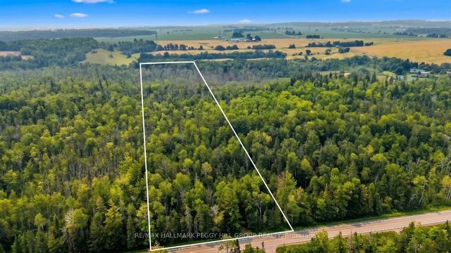 6905 County Road 21 N/a, Essa