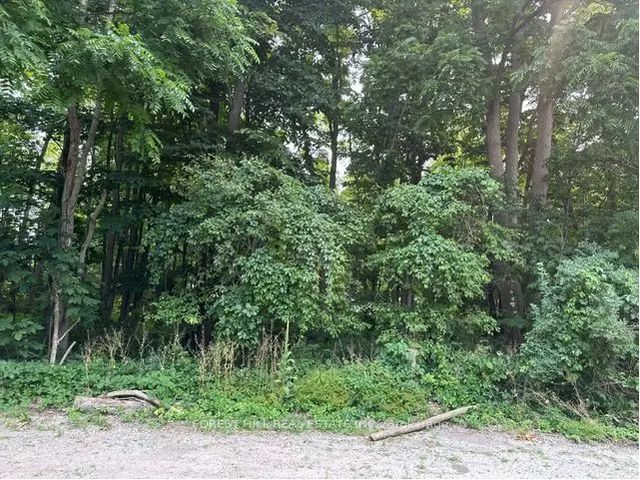 2728 25th Side Road, Innisfil