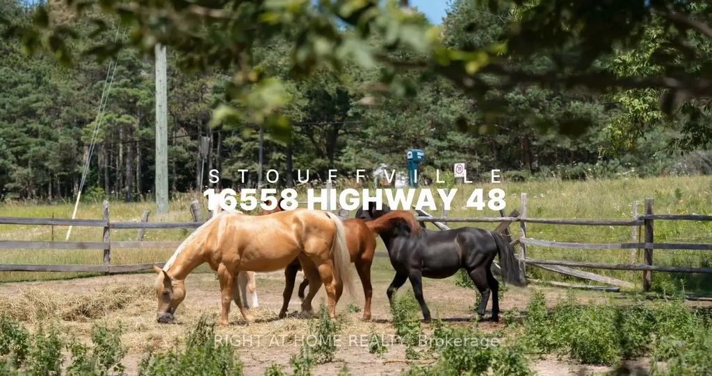 16558 Highway 48 N/a, Whitchurch-Stouffville