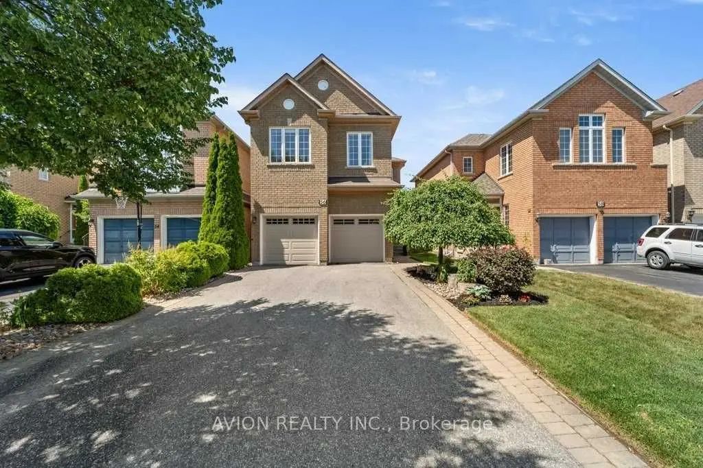 56 Golden Oak Avenue Bsmt, Richmond Hill