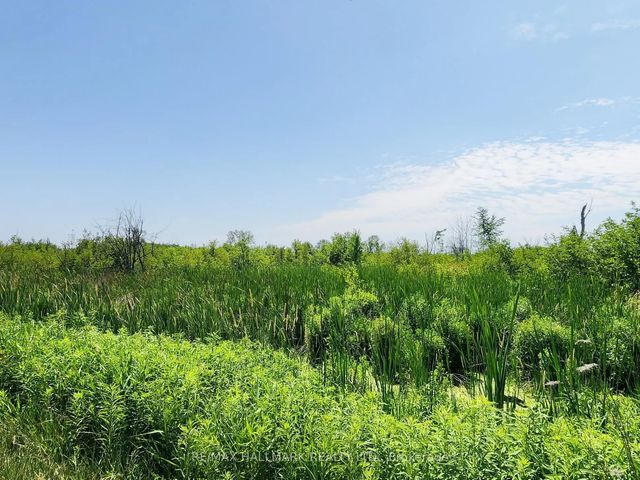 20200 Highway 48 N/a, East Gwillimbury