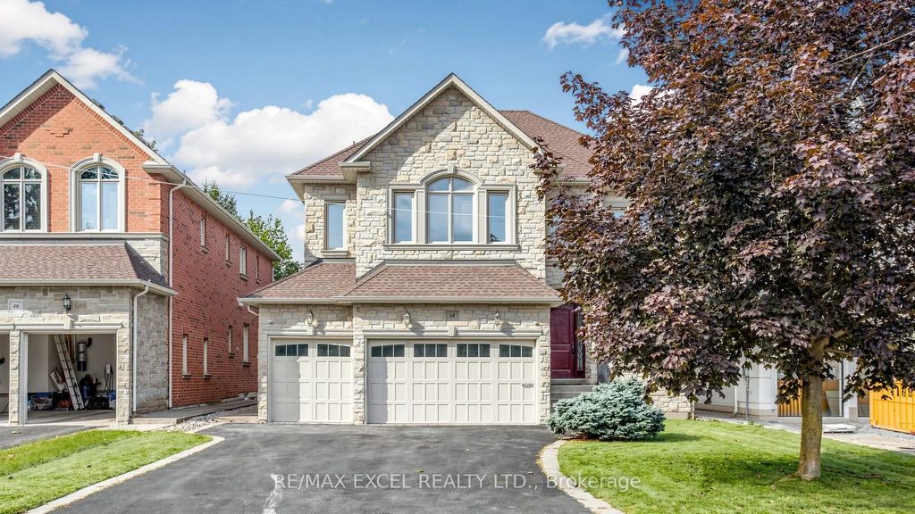 38 May Avenue Bsmt, Richmond Hill