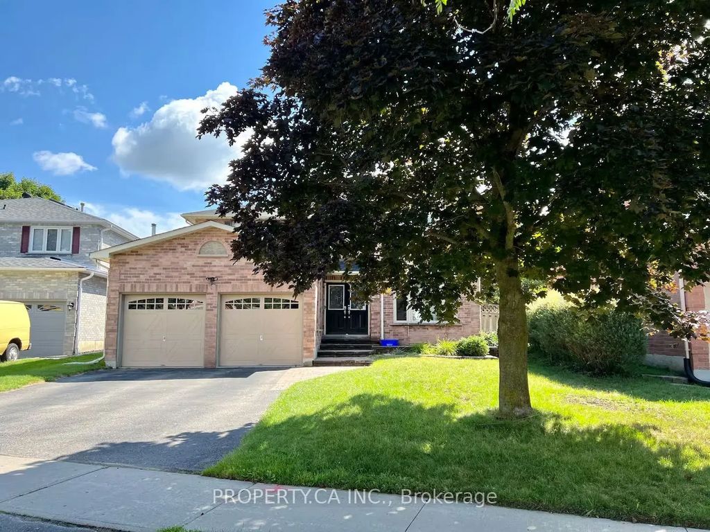 746 Leslie Valley Drive Lower, Newmarket