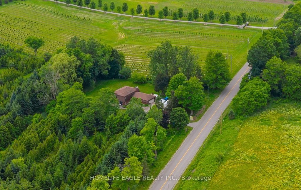 5803 3rd Line, New Tecumseth