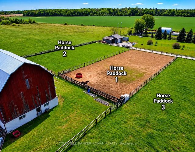 6703 Pine Plains Road E, Adjala-Tosorontio