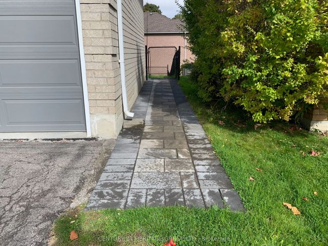 337 Carruthers Avenue Walk-out Basement, Newmarket