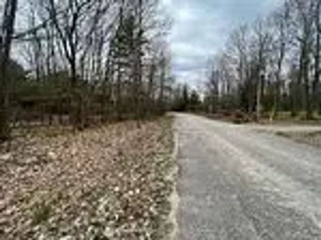 Lot 705 Wolfe Trail, Tiny