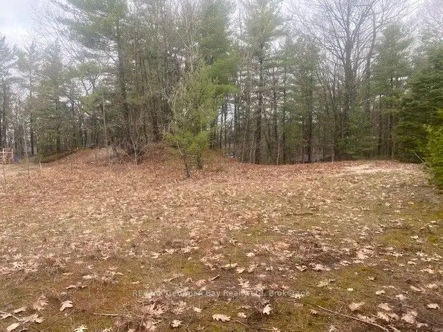 Lot 514 Tall Pines Drive, Tiny