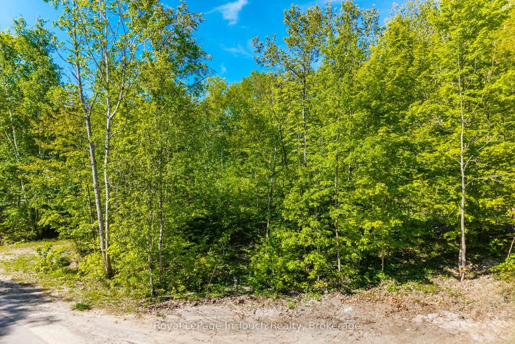 1536 Champlain Road, Tiny