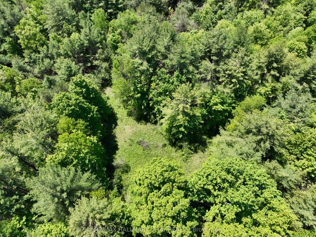 1676 Old Second Road S, Springwater