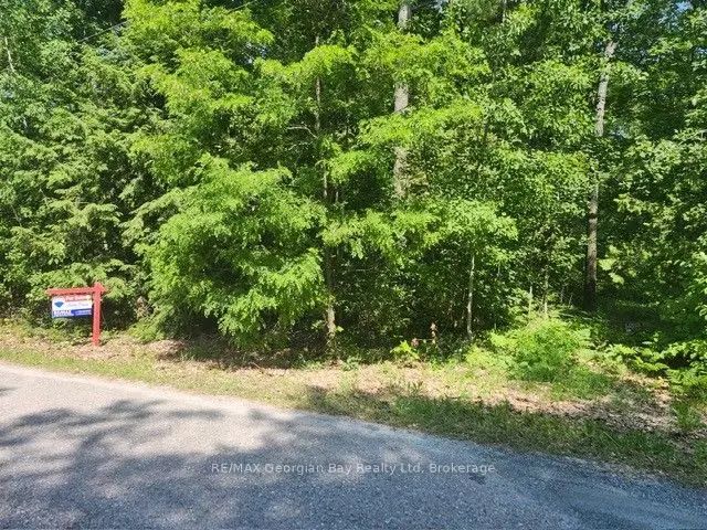 46 Oakwood Avenue N, Tiny