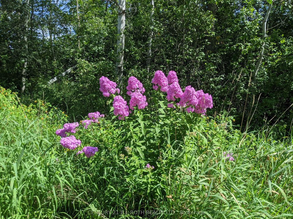 2361 George Johnston Road, Springwater