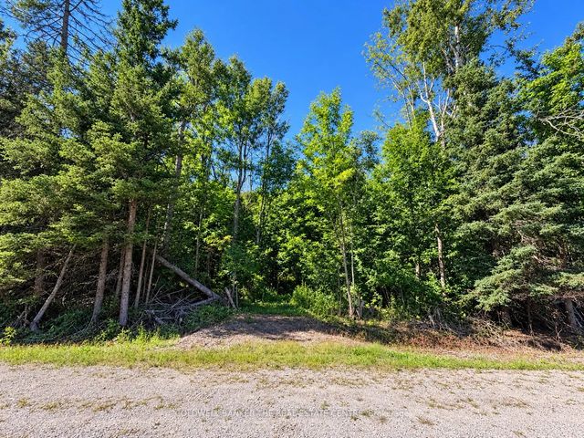 4896 Penetanguishene Road, Springwater