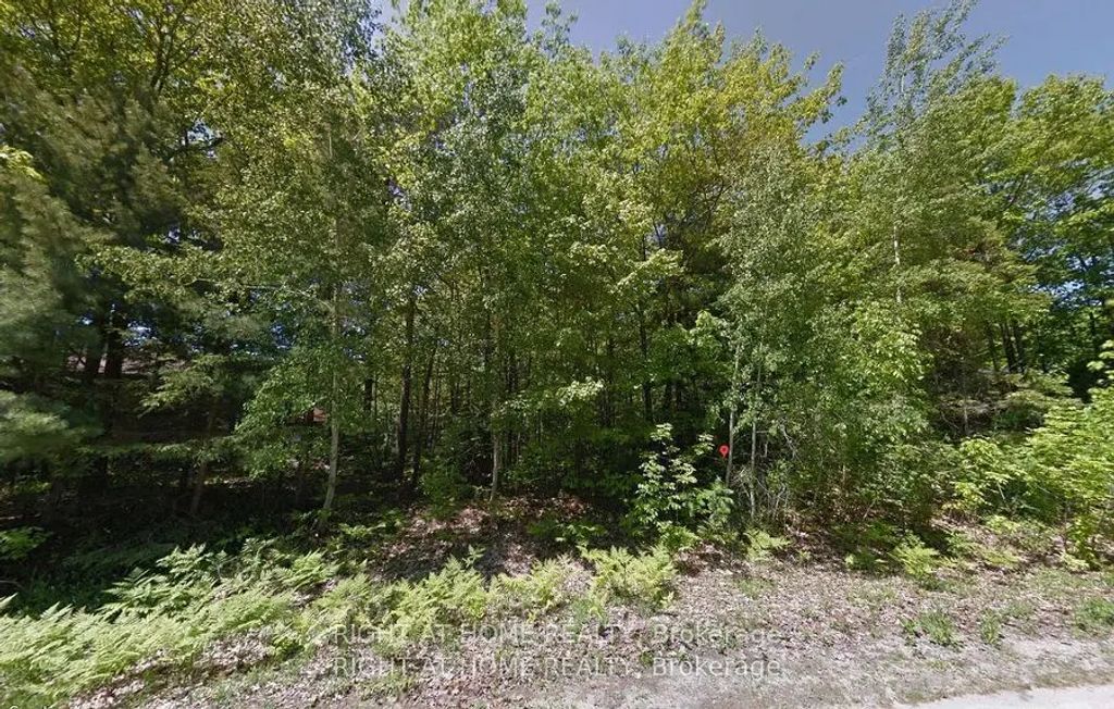 2 Birchwood Trail, Wasaga Beach