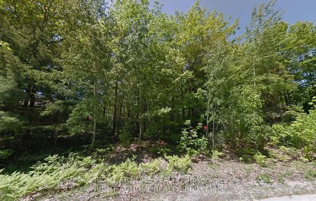 2 Birchwood Trail, Wasaga Beach
