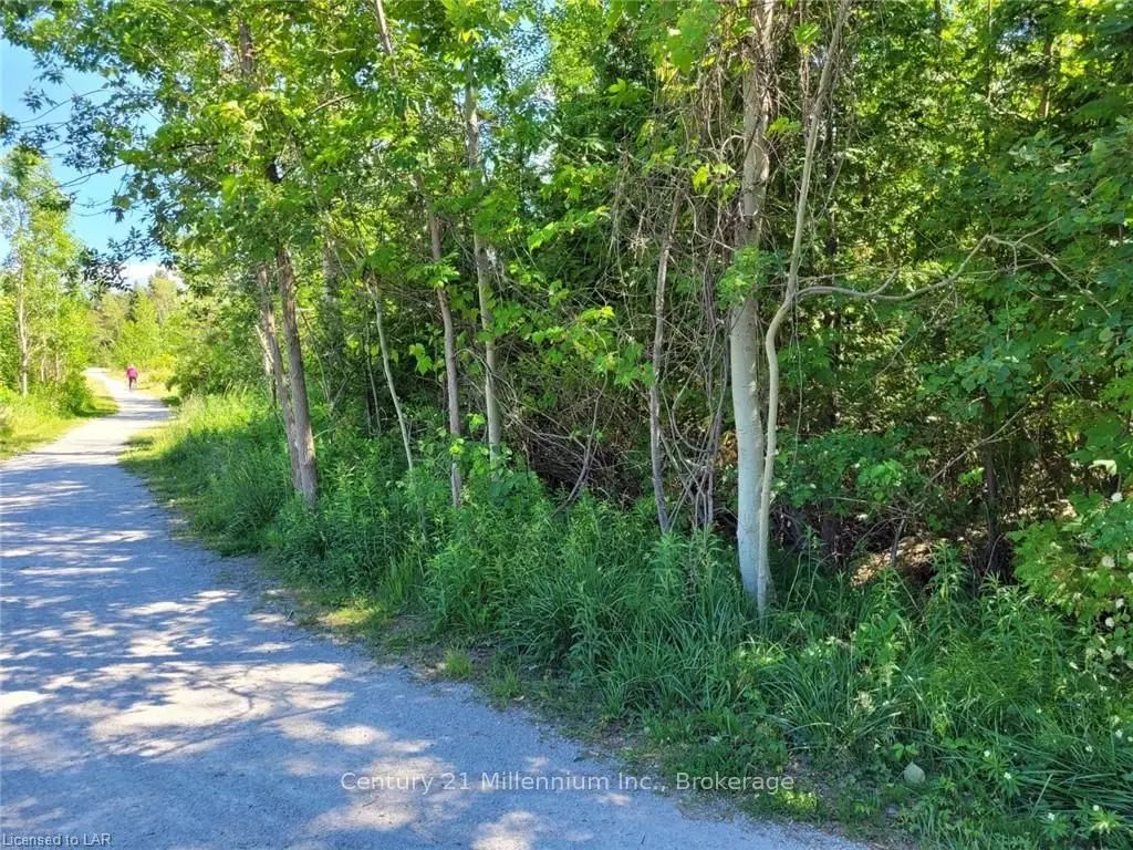 11325 26 Highway, Collingwood
