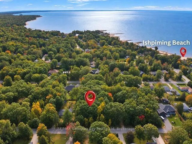 69 Pinecone Avenue, Tiny
