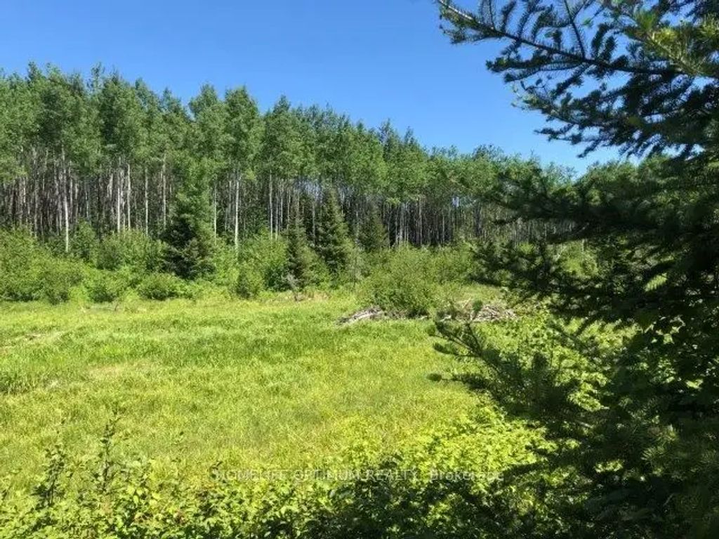 38.24 Acres In Ogden Township - Pcl 24640 N/a, Timmins