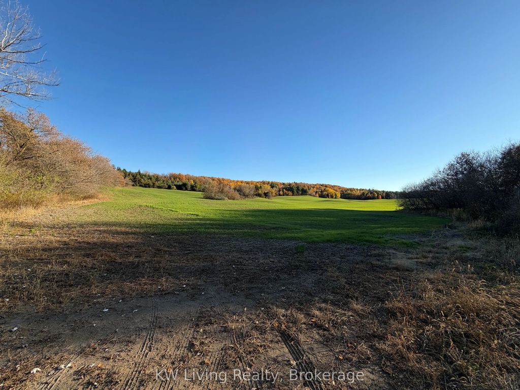 16724 Mount Wolfe Road, Caledon