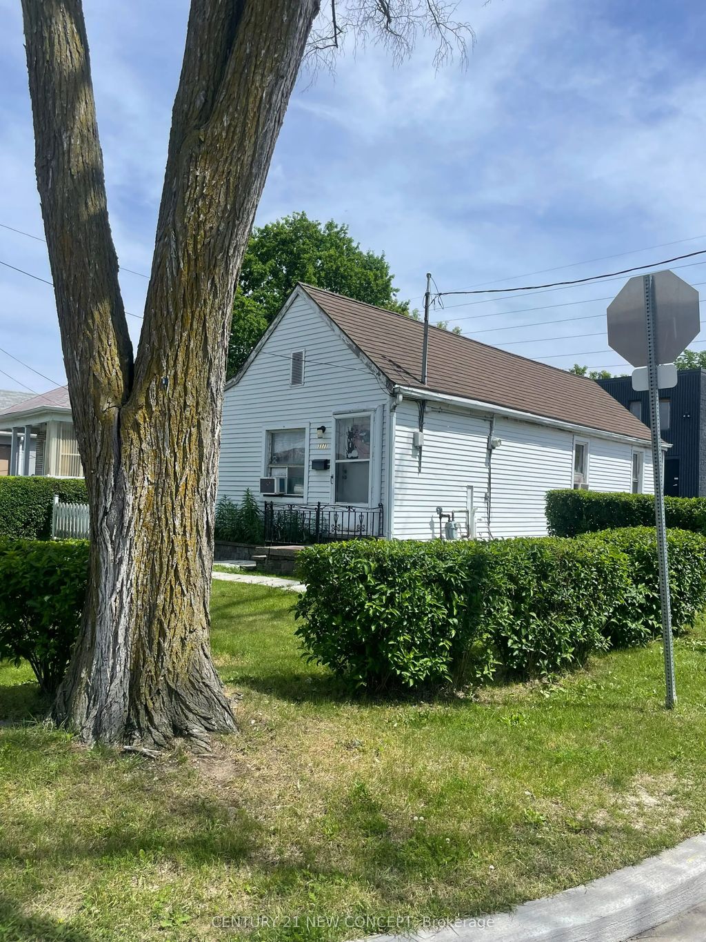 1171 Roselawn Avenue, Toronto W04