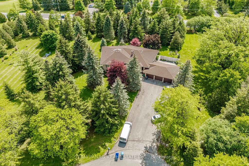 6 Forestbrook Court, Brampton