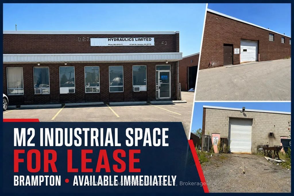 43 Selby Road, Brampton