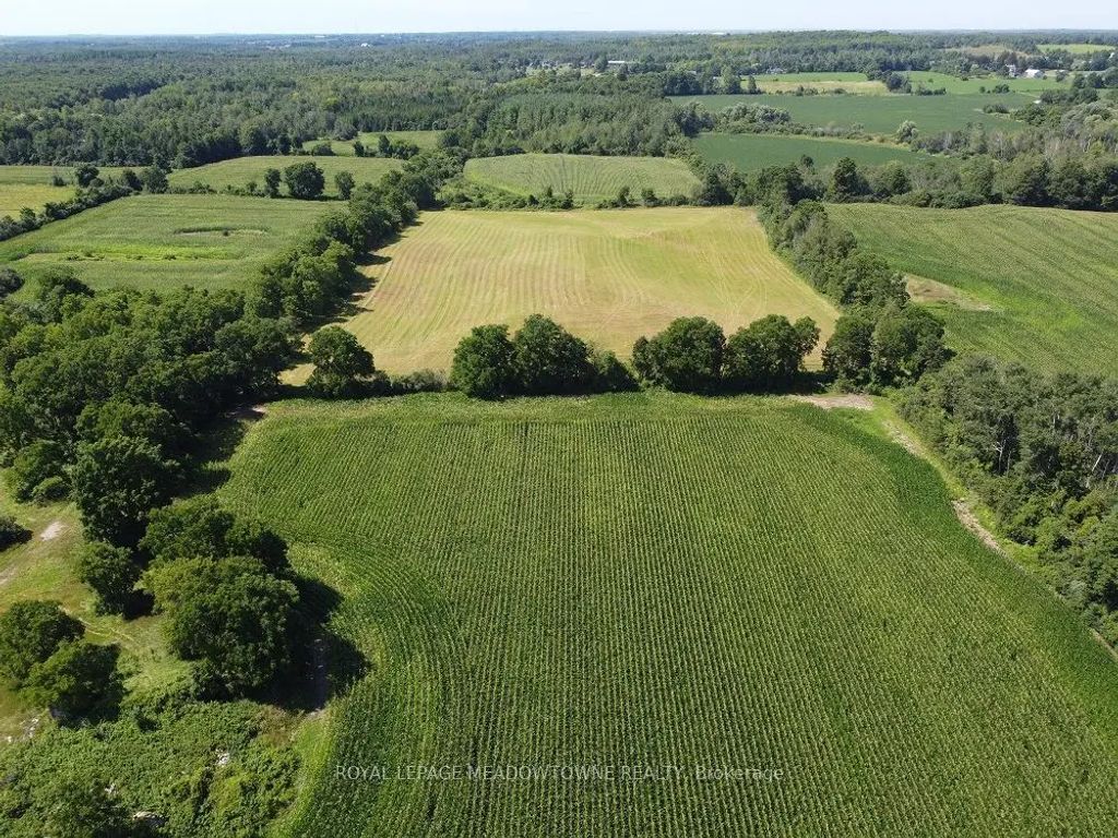 11080 First Line Nassagaweya N/a, Milton