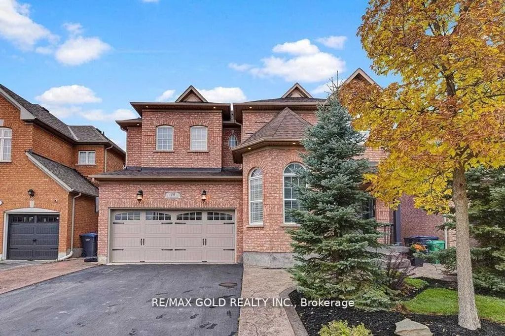 38 Carmel Crescent (bsmt), Brampton