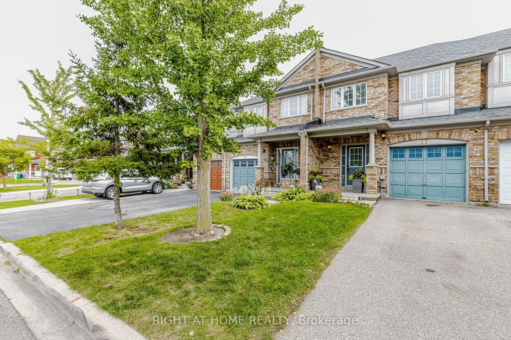 97 Timbertop Crescent, Brampton