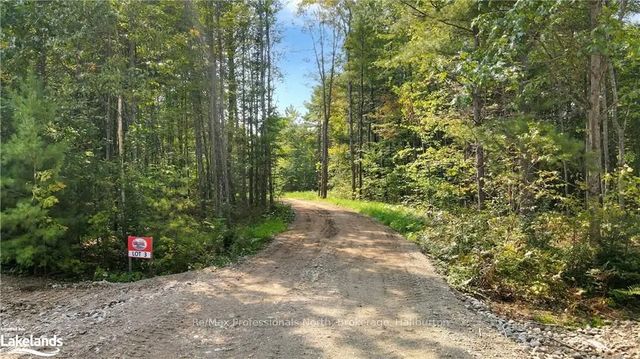 1081 Hawk Valley Road, Algonquin Highlands