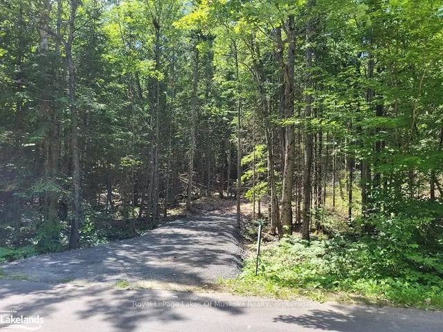 Lot 5 Fairy Falls Road, Lake of Bays