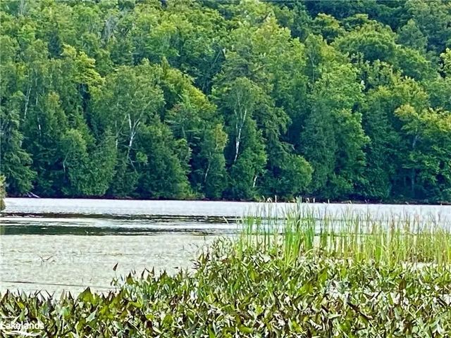 151 Maple Drive, Parry Sound Remote Area