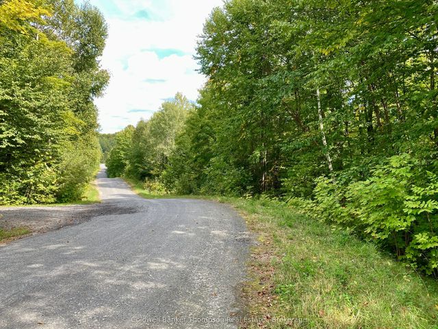 Brown Lane, Parry Sound Remote Area