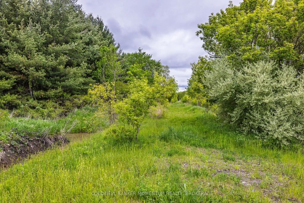1969 Hutchinson Road, Haldimand