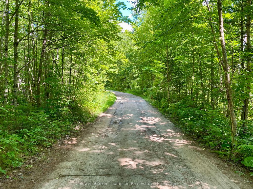 N Conc. Rd 10 And 11 Concession N, Parry Sound Remote Area