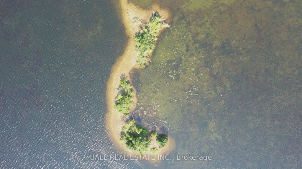 Pt Lt 1 Con 5 Island, Kawartha Lakes