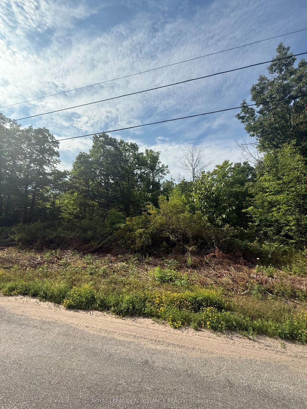 Rockhaven Road, Marmora and Lake