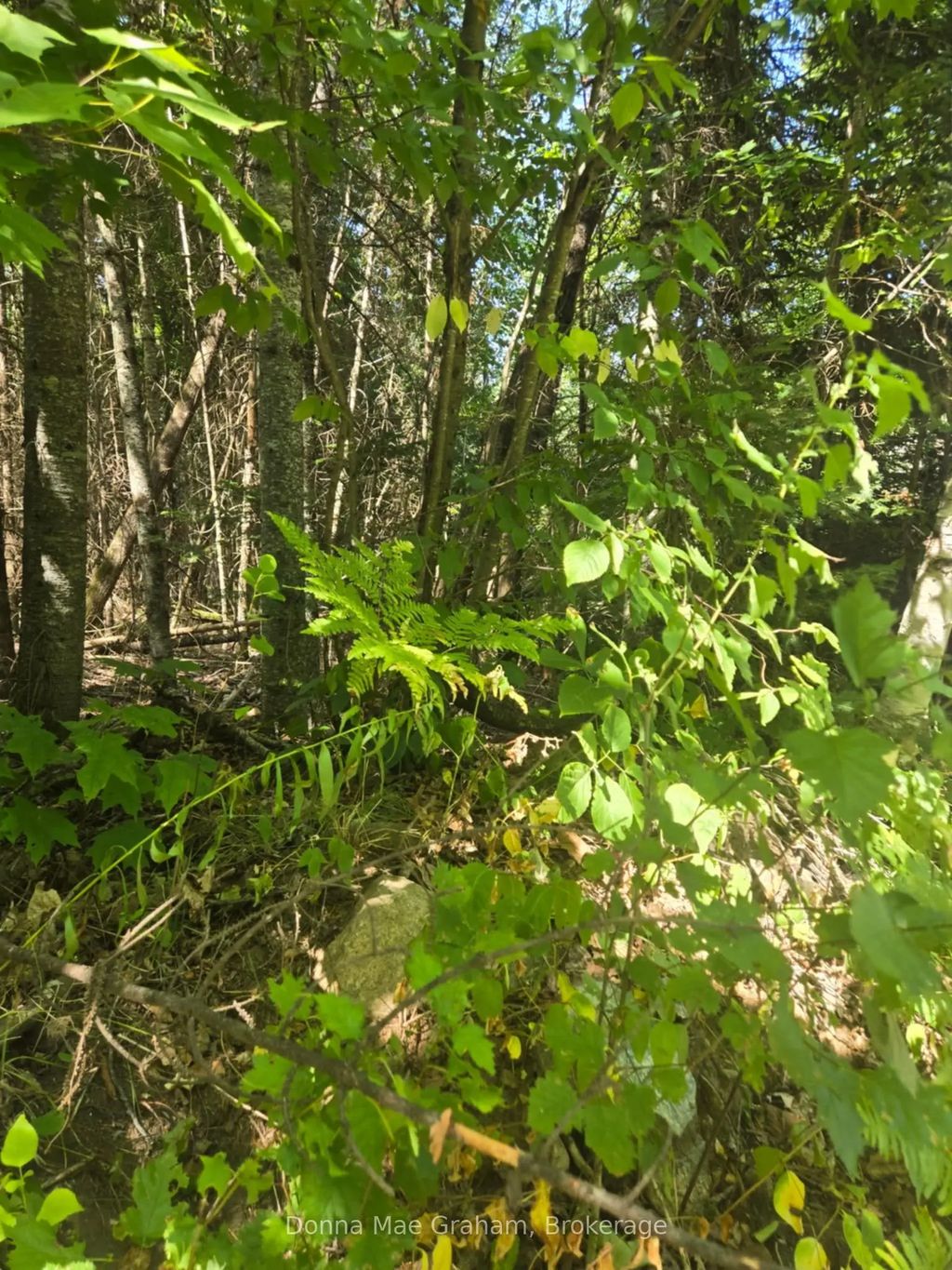 E Macduff Road Acres E, Highlands East