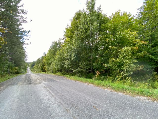 Clear Lake Road N, Parry Sound Remote Area