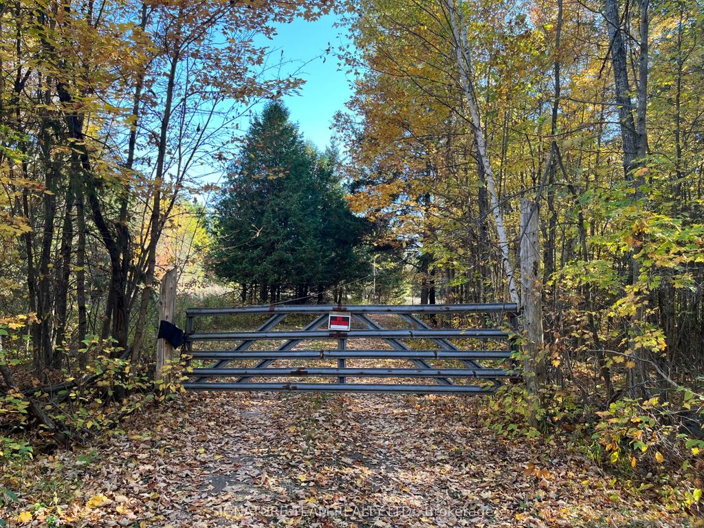 Minnie Road, Bonnechere Valley