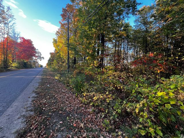 Lot 0 Bellamy Road, McNab/Braeside