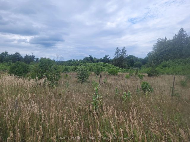 Lt 27 Pt 2 County Rd 10 N/a, Prince Edward County