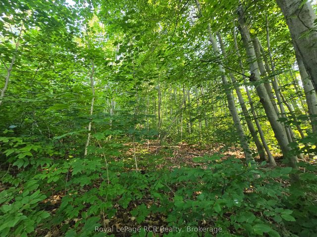 126 Old Highway 26 Highway, Meaford
