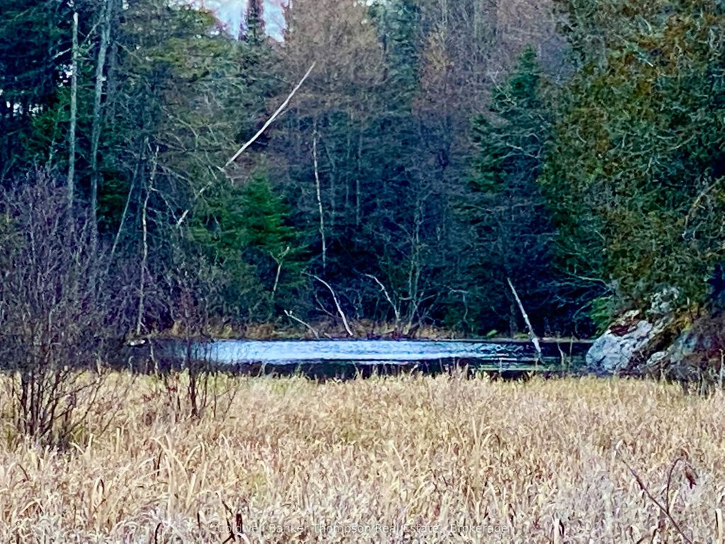 Lot 0-b Legrou's Lake Road, Parry Sound Remote Area