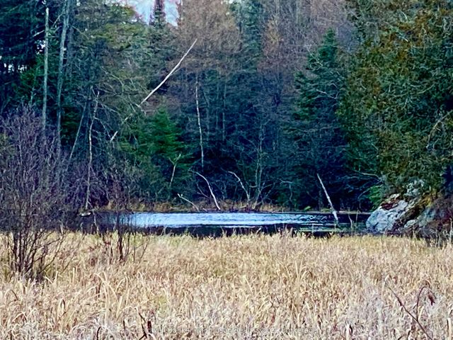 Lot 0-b Legrou's Lake Road, Parry Sound Remote Area