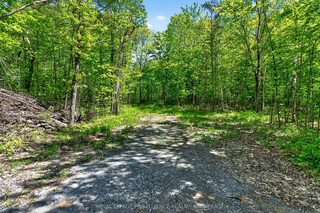 Pt Lts 12 & 13 Devil Lake Road, South Frontenac