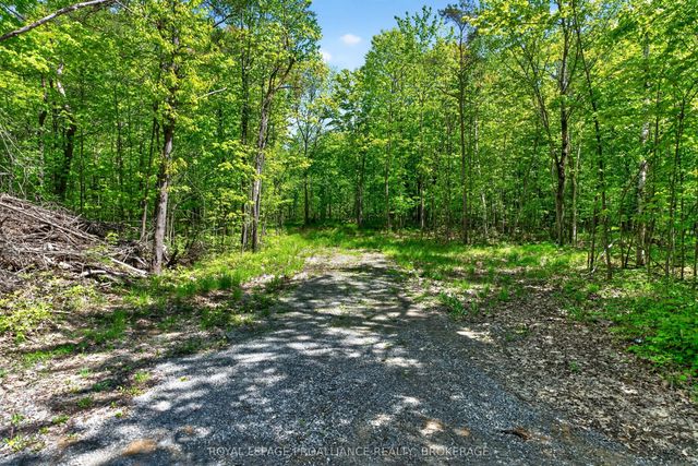 Pt Lts 12 & 13 Devil Lake Road, South Frontenac